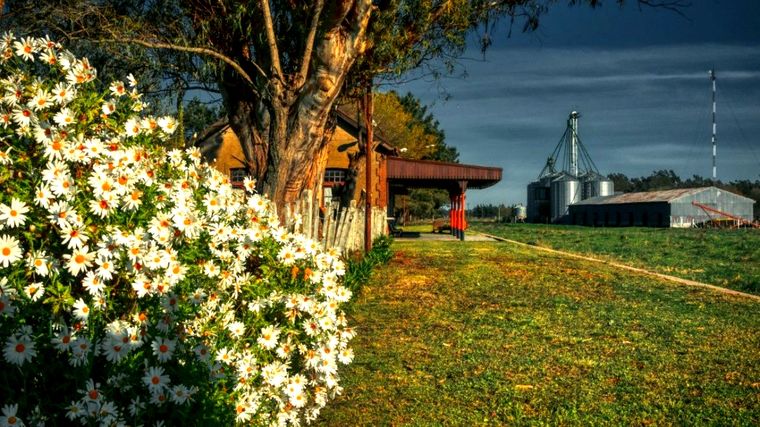 Este pueblo se ubica en un punto estratégico entre Lobería, Balcarce y Miramar. Foto: Instagram Buenos Aires Mi Provincia