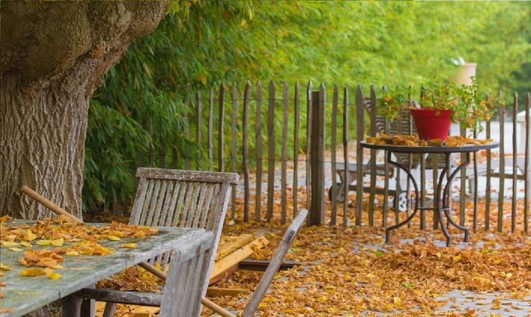 En otoño hay muchos cambios en el jardín. Las hojas de los árboles caen para luego renovarse. No quemar ni tirar las hojas, podemos usarlas como abono. Foto: Instagram
