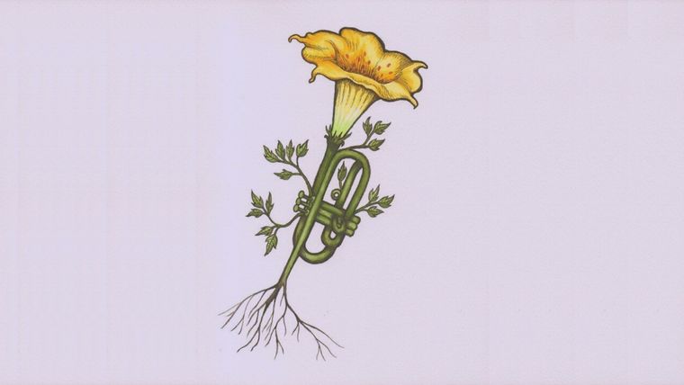 Test de personalidad