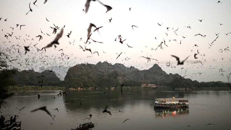 Murciélagos sobrevuelan un lago cerca de la ciudad de Hpa-An, frente a la cueva Linno Gu, Birmania, el 1 de marzo de 2020
