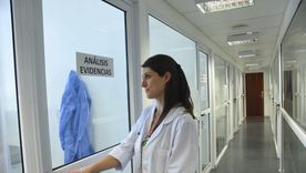 El informe forense descartó que se tratara de un asesinato. El informe forense descartó que se tratara de un asesinato.