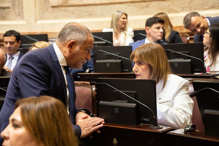 Patricia Bullrich y una semana clave para la reformal laboral en el Senado.&nbsp;