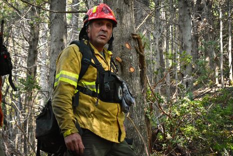 El Gobierno decretó la emergencia ígnea ante los incendios forestales en la Patagonia.