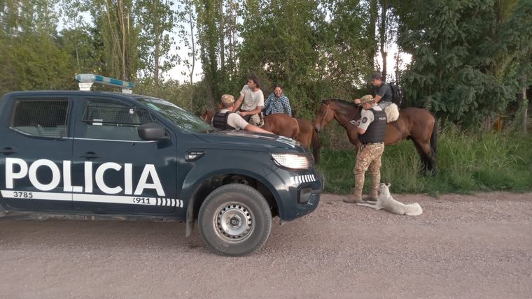 Secuestraron cocaína y carnes en mal estado en operativos realizados en Lavalle Foto: Ministerio de Seguridad de Mendoza