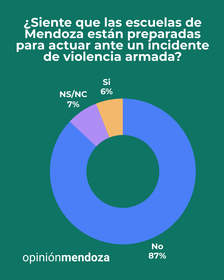 Fuerte preocupación por la seguridad escolar en Mendoza. Fuerte preocupación por la seguridad escolar en Mendoza.