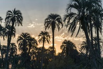 MDZol | Parque Nacional El Palmar Foto: DV