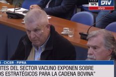 Foto: Prensa Diputados