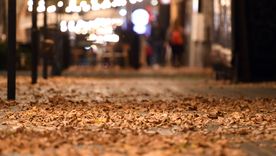 El inicio del otoño se presenta ventoso en Mendoza. El inicio del otoño se presenta ventoso en Mendoza.