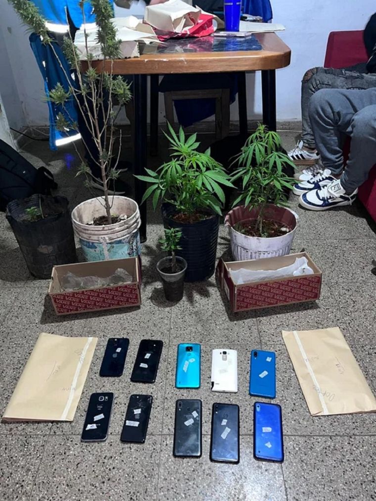 Dos hombres y dos mujeres fueron detenidos tras robar celulares en fiestas electrónicas Foto: NA