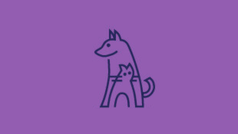 test de personalidad&nbsp;