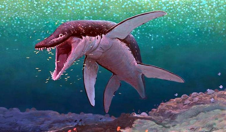 El lorrainosaurus vivió hace 170 millones de años. Foto: Naturkunde-MuseumBielefeld