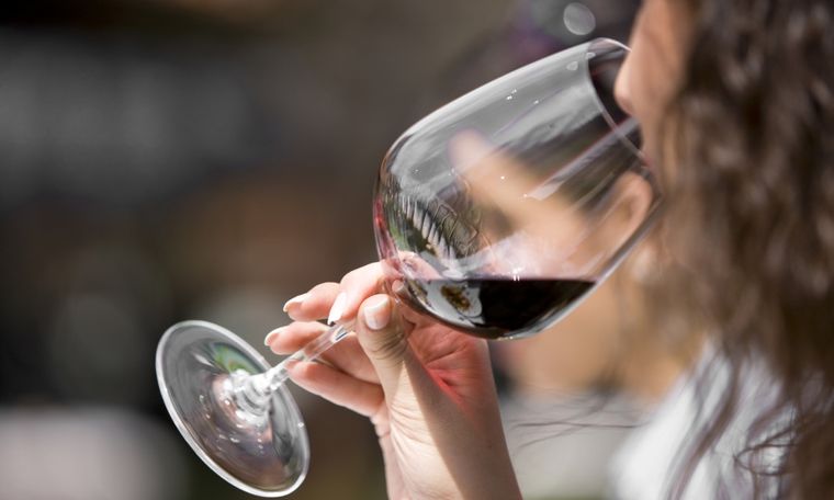 Foto: Descubra Mendoza