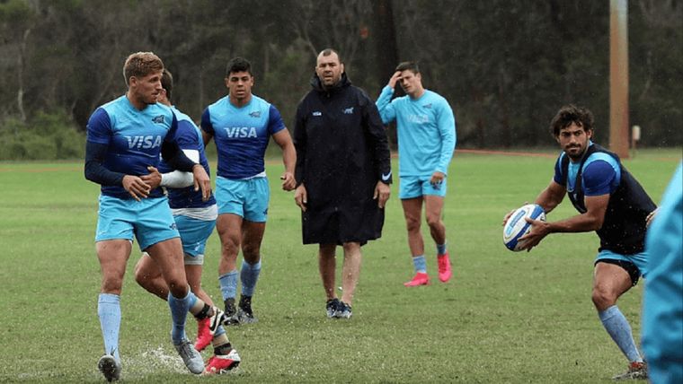 El australiano Michael Cheika destacó cómo Los Pumas sienten la camiseta argentina