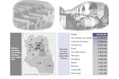 la situacion de los vinateros y bodegueros, en datos