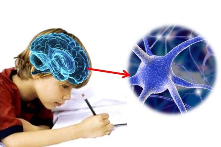 Test Visual Test Visual para desarrollar tu cerebro Foto: Red Educativa Mundial