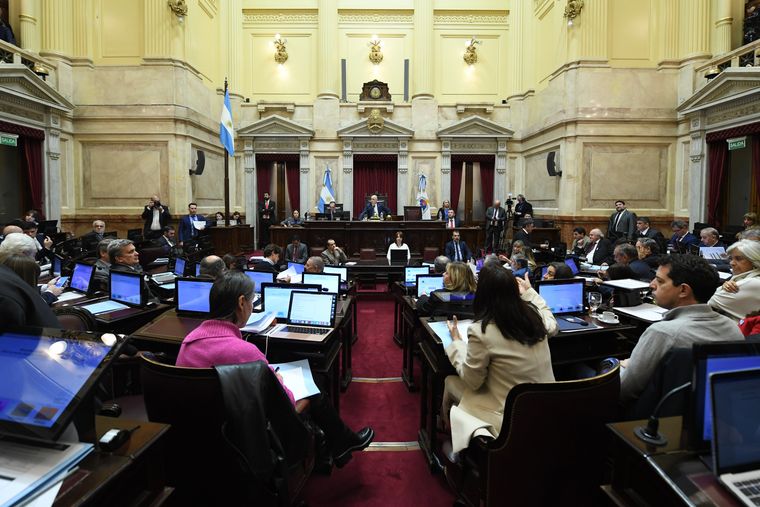 El Senado se prepara para darle otro golpe a Javier Milei.