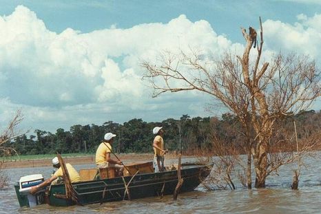 Miles de animales debieron ser rescatados cuando se inundó una vasta área para crear el embalse de la represa de Itaipú.