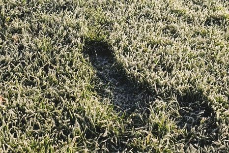 Cómo hacer que el césped resista el invierno en el jardín. Créditos: homesandgardens.com Cómo hacer que el césped resista el invierno en el jardín. Créditos: homesandgardens.com