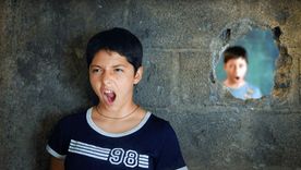 Una cruda realidad. Una cruda realidad.