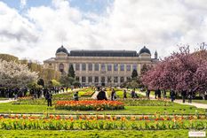 El hallazgo en París devolvió a escena un sello real que había estado perdido durante más de 40 años. &nbsp;