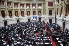 Foto: Twitter @DiputadosAR