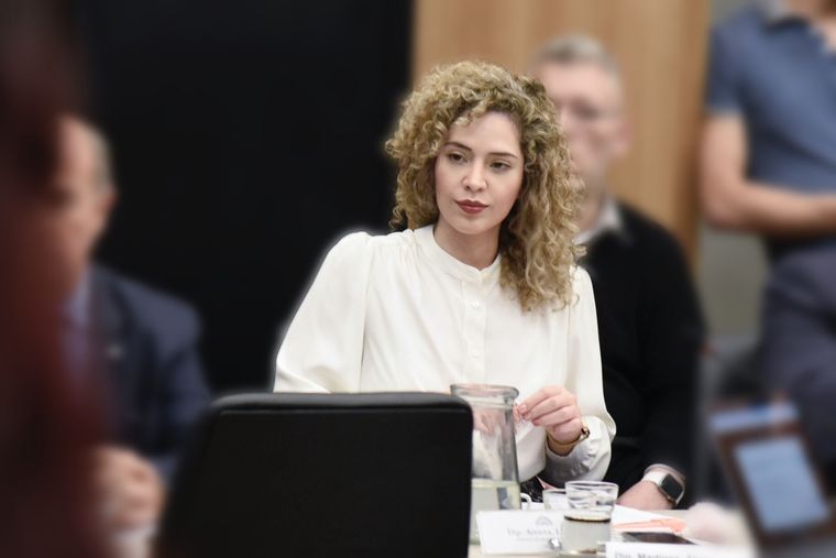 Lourdes Arrieta, una de las oficialistas que quedó en el ojo de la tormenta por su presencia en la visita a la prisión a Alfredo Astiz y demás represores Foto: X @lulumicart