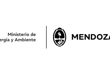 EDICTO: CONVOCATORIA A CONSULTA PÚBLICA