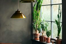 lAS ventanas deben estar limpias y sin condensación, como se muestra aquí. Foto: deVOL Kitchens