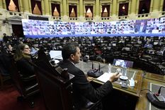 en vivo: diputados se capacita en genero y realiza un simulacro de sesion virtual