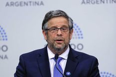 Para Adolfo Rubinstein, el brote de dengue en el país se produce porque hay ciertas acciones que no se hicieron año pasado y otras que no se han hecho ahora Foto: NA