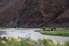 El río Mendoza sigue aumentando su caudal Foto: ALF PONCE MERCADO / MDZ