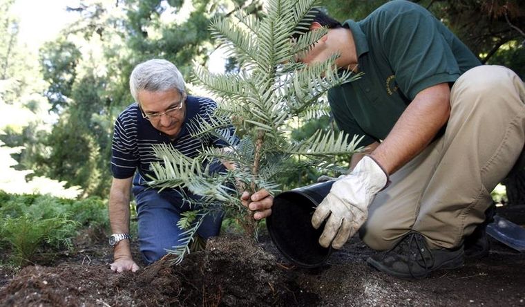 El cambio climático exige acciones contundentes y perdurables. Foto: Efe.