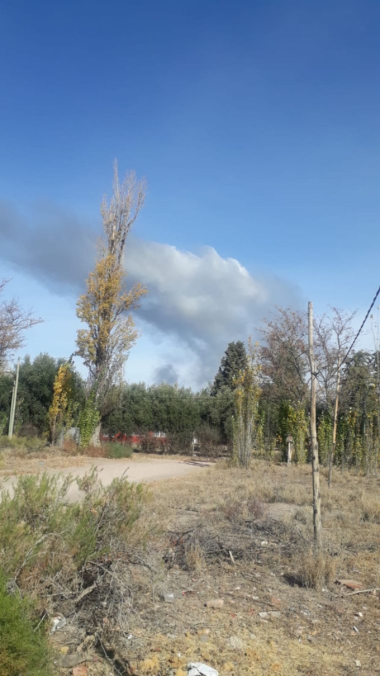 Las primeras imágenes del incendio Foto: MDZ