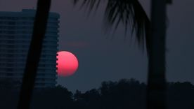 La Luna Rosa podrá verse en Argentina durante la noche del 1 de abril y alcanzará su punto máximo de iluminación cerca de la medianoche. La Luna Rosa podrá verse en Argentina durante la noche del 1 de abril y alcanzará su punto máximo de iluminación cerca de la medianoche.