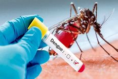 alarmante suba de casos de dengue y chikungunya en la mitad del pais