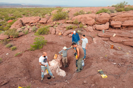 El descubrimiento de esta nueva especie, por parte de los investigadores del Conicet, fue en 2017 El descubrimiento de esta nueva especie, por parte de los investigadores del Conicet, fue en 2017