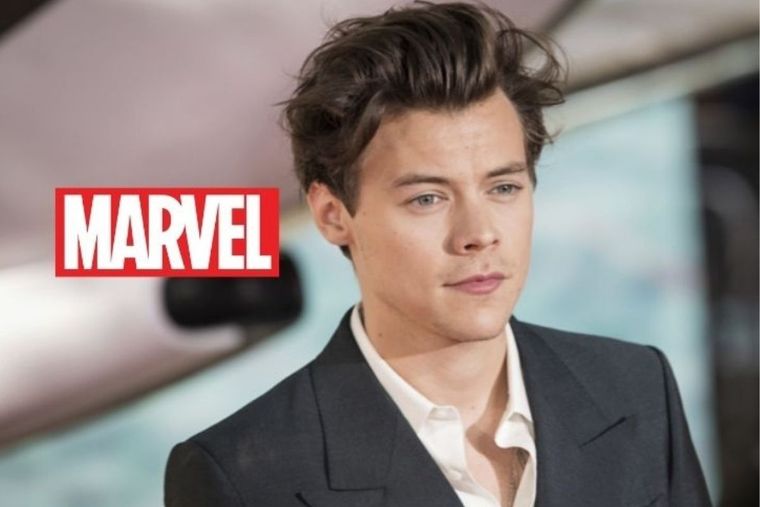 Harry Foto: Índice Político