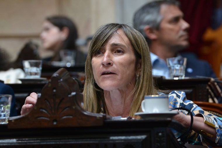 Foto: x @DiputadosAR