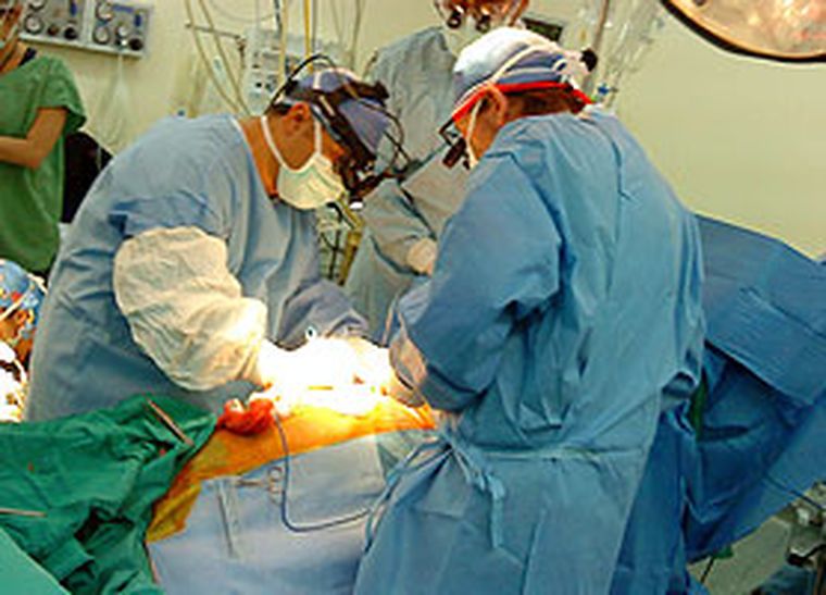 Qué proponenlos partidos mendocinos. Foto: Telam