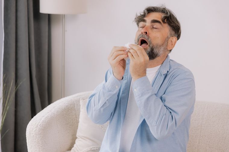 Las plantas inocuas para los alérgicos. Foto: Fuente: Shutterstock