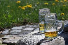 La cerveza tiene muchos beneficios para las plantas, conocé todo en la nota Foto: Cocina fácil