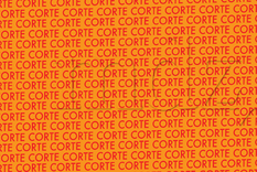 ACERTIJO VISUAL ACERTIJO VISUAL, RETO VISUAL, PALABRA Foto: MDZ ONLINE