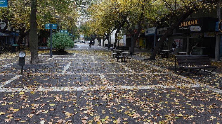 Este otoño, Mendoza registrará temperaturas más altas de lo habitual. Foto: ALF PONCE / MDZ