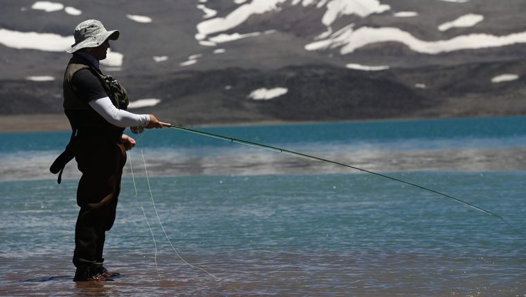 Este 26 de enero se celebra el Día Mundial del Pescador.