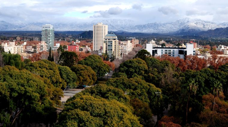 El dispositivo creado por Rosso cambiaría el sistema de riego masivo Foto: ALF PONCE MERCADO / MDZ