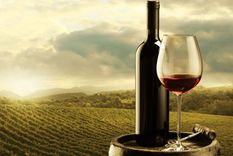 Malbec, nuestra cepa emblema.