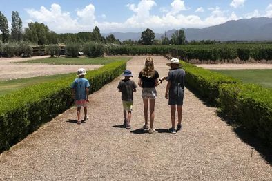 MDZol | Vendimia es una de las épocas del año que más turistas atrae a Mendoza