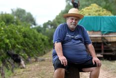 Ricardo Mussato es un pequeño productor de Junín. Foto: ALF PONCE MERCADO / MDZ Ricardo Mussato es un pequeño productor de Junín. Foto: ALF PONCE MERCADO / MDZ