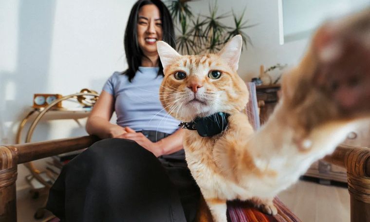 El Fi Mini pesa solo 16 gramos y se ajusta a collares o arneses para cualquier mascota. El Fi Mini pesa solo 16 gramos y se ajusta a collares o arneses para cualquier mascota.