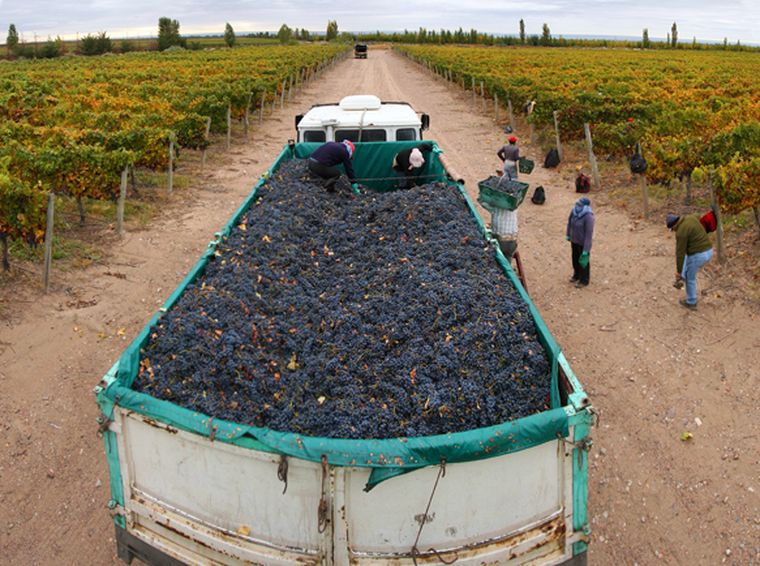 Foto: Nacho Gaffuri / MDZ